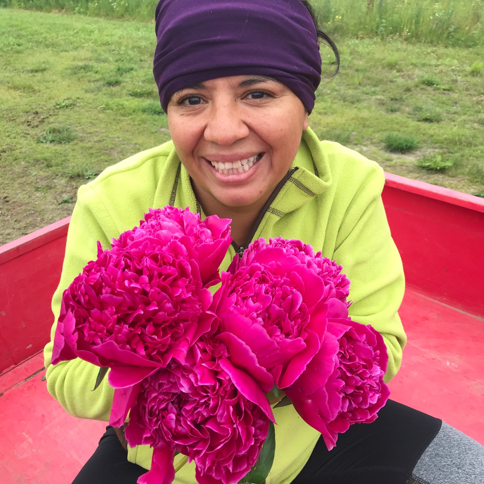 Hot Pink Peonies in July & August - Alaska Flower Girls Peony Farm